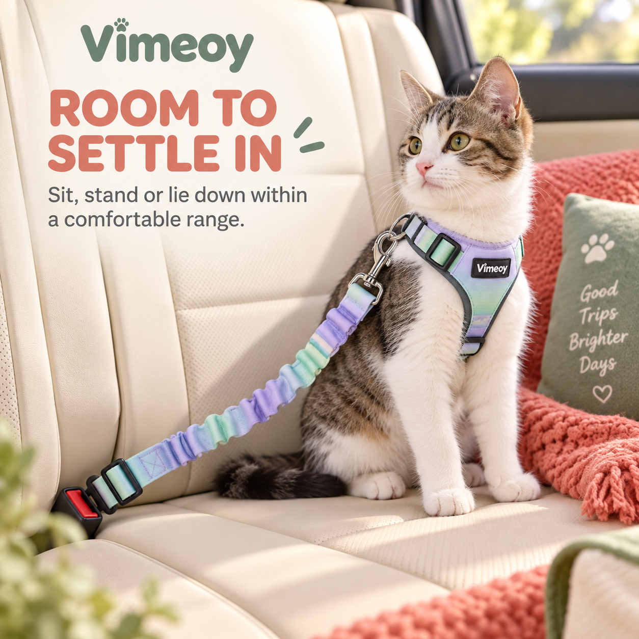 Cat wearing a chest harness connected to a green purple Vimeoy car tether