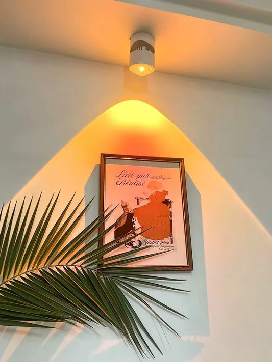 New sunset spotlight Led Down Lamp Interior